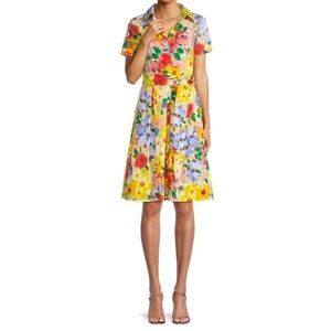 Frances Valentine Bella Belted Picnic Cotton Shirtdress size M